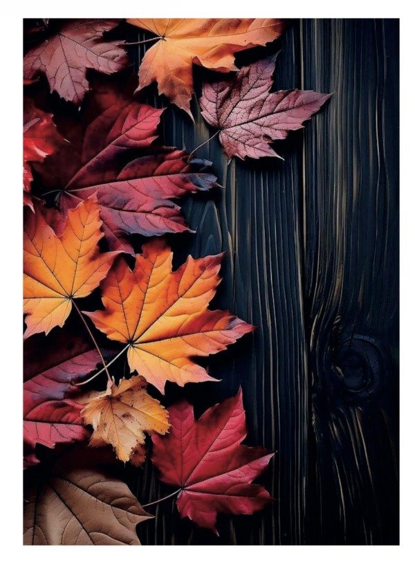 Producto - Cuaderno A5 - 7