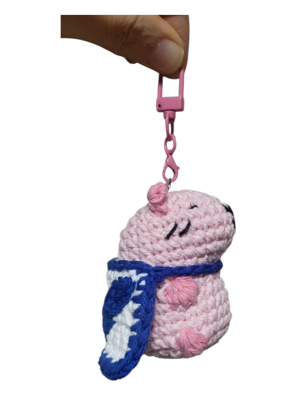 Producto - CarpHincha Velezana Pink
