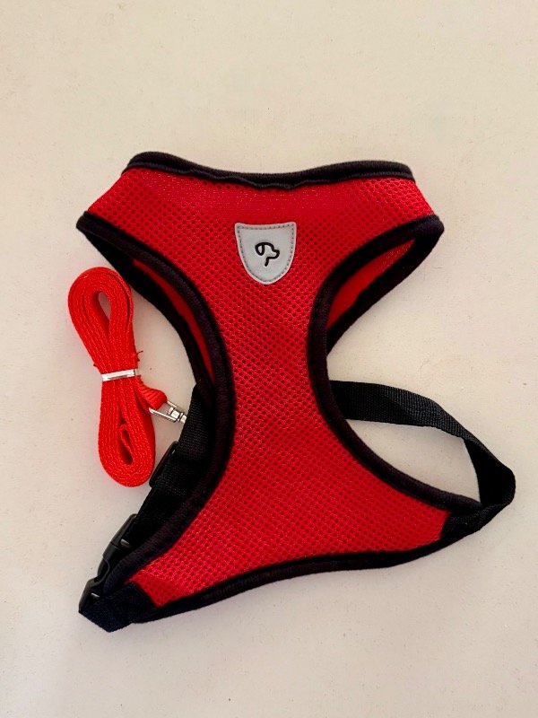 Producto - Pretales Red - 1