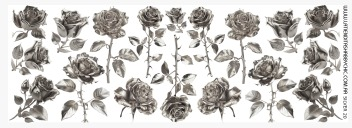 Producto - SILVER.P 20 UV