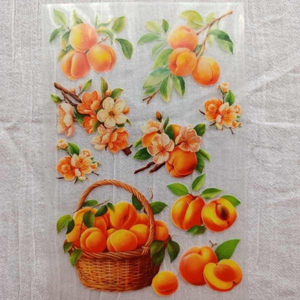 Producto - FDP 068 transfers