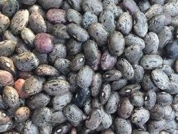 Producto - Poroto moro