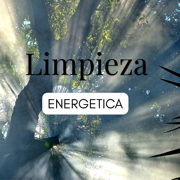 Producto - Limpieza Energetica