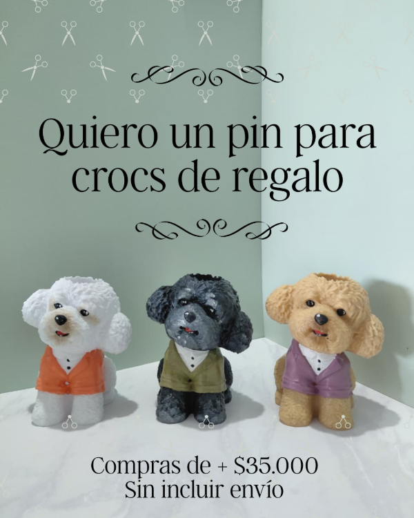 Producto - Quiero un pin para crocs de regalo!!! (En compras de + 35.000)