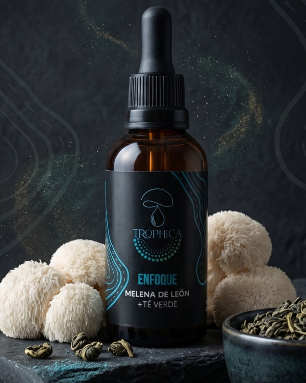 Producto - Enfoque: Extracto de Melena de León y Té Verde - 1