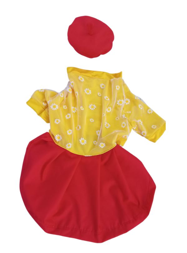 Producto - Disfraz margarita