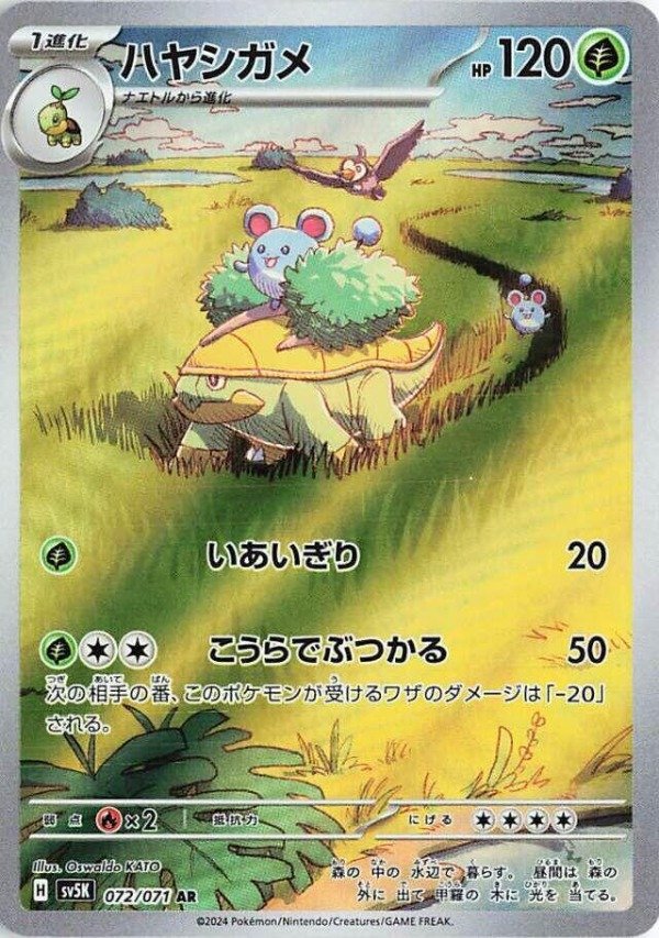 Producto - Grotle - 072/071