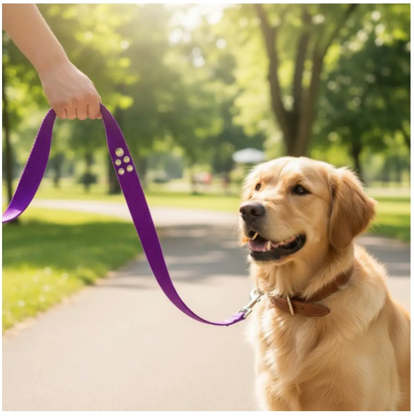 Producto - Correa de perro Urbana 2 mts  de largo  por 3 cm  de ancho reforzada - 7