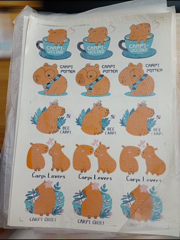 Producto - Calco Vitrificable Capybara M1 Ceramica