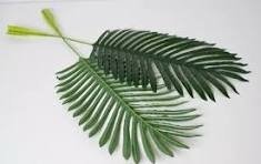 Producto - Vara de hoja grande