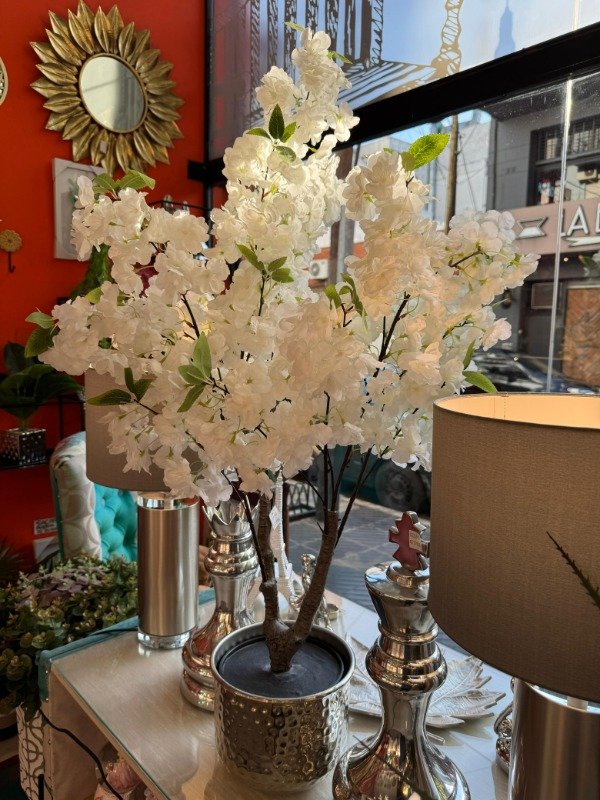 Producto - Planta Cerezo  1 mt ( Efectivo: 159.920)