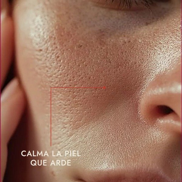 Producto - Calming Serum: Green Tea + Panthenol - 2