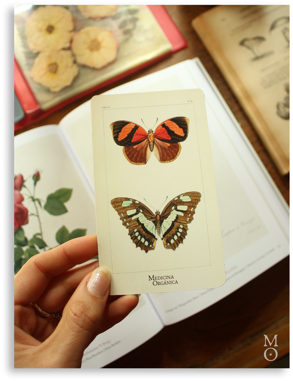 Producto - Imán - mariposas II