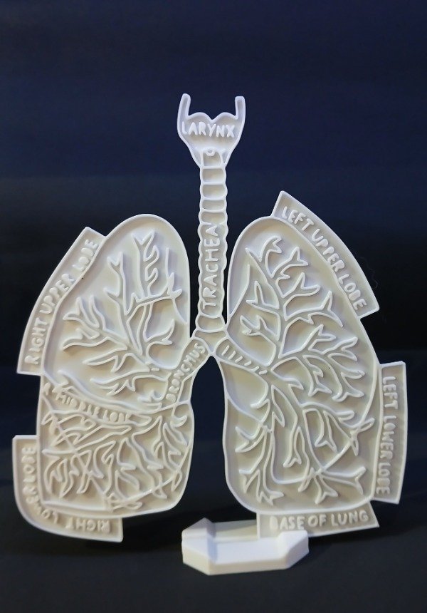 Producto - Sistema respiratorio