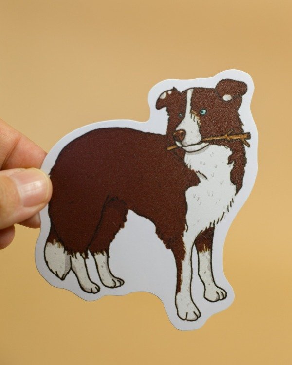 Producto - Sticker vinilo "Border Collie chocolate con ramita"