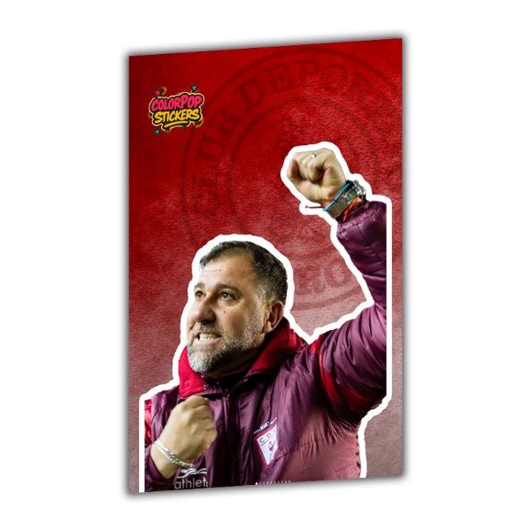 Producto - Plancha 20x30 Walter Otta