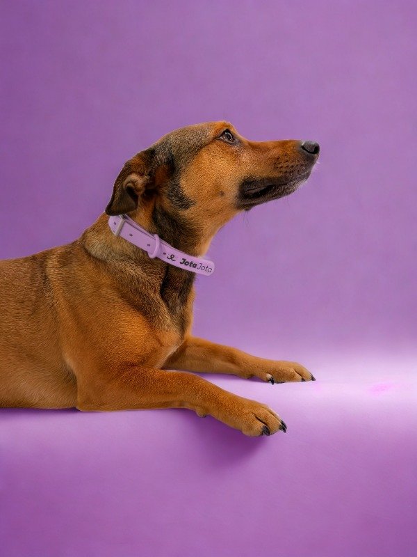 Miniatura de producto - 8