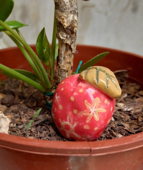 Producto - Manzanita Fantastic Mr. Fox