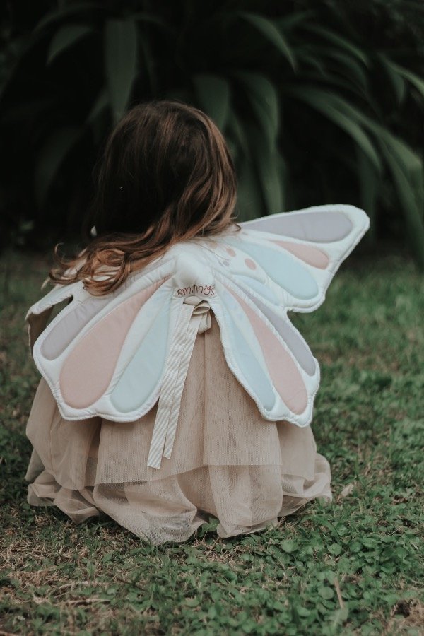 Producto - Alas de Mariposa