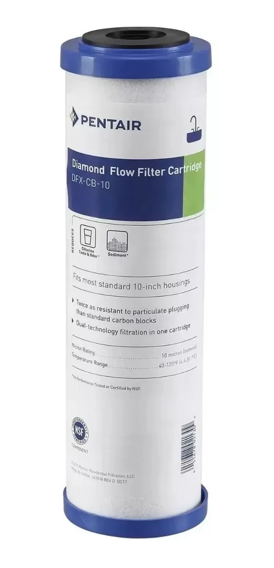 Producto - Filtro Agua Cartucho Repuesto Pentair Carbón Activado 10 Micrones 10 x 2,5