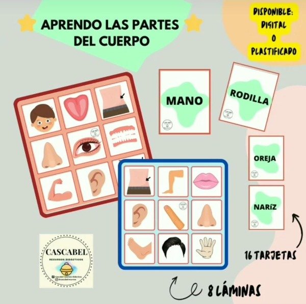 Producto - Laminas partes del cuerpo- Imprimible