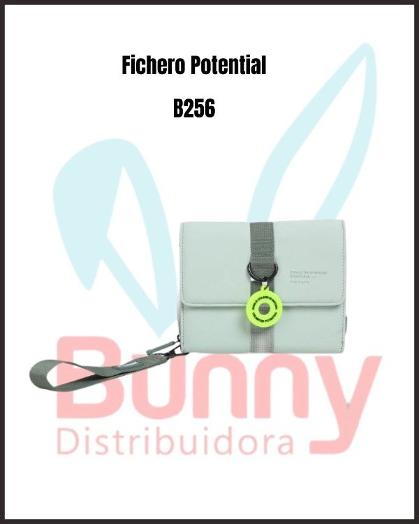 Producto - Fichero Potential B256