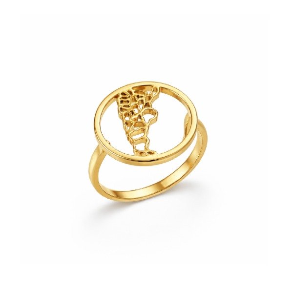 Producto - Anillo Argentina