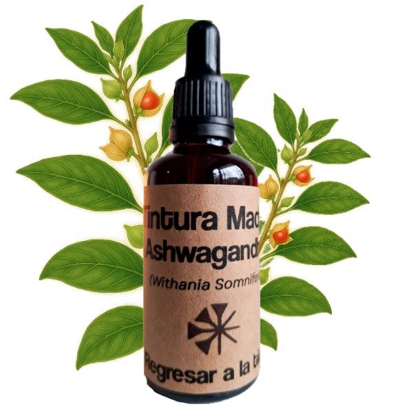 Producto - Tintura Madre de Ashwagandha 50ml