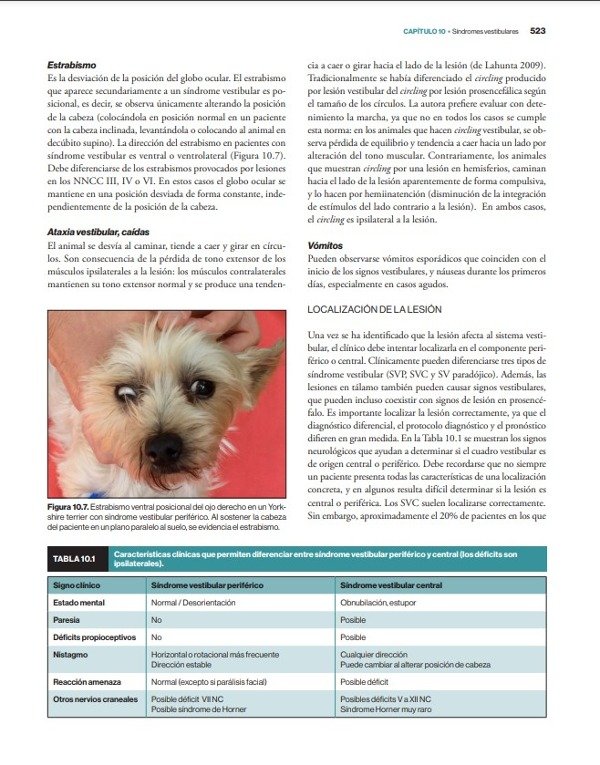 Producto - Morales: Neurología Canina y Felina, 2da - 6