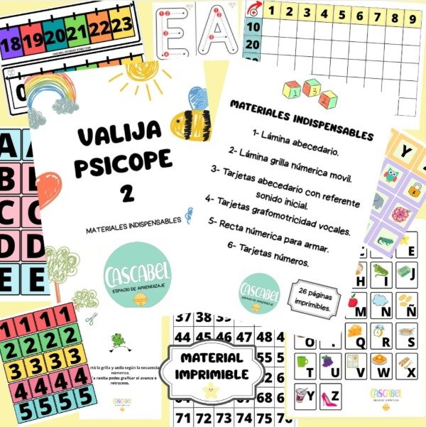 Producto - VALIJA PSICOPE 2