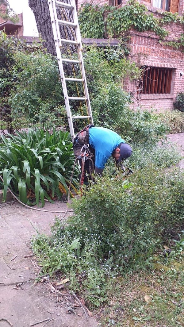 Miniatura de producto - 5