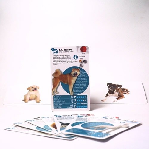 Miniatura de producto - 4