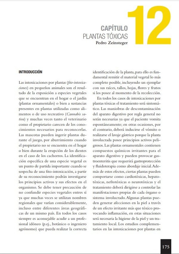Producto - Zeinsteger: Abordaje Terapéutico de las Intoxicaciones en Pequeños Animales - 2