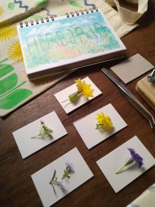 Producto - Kit Herbal