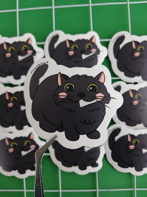 Producto - Gatito Negro