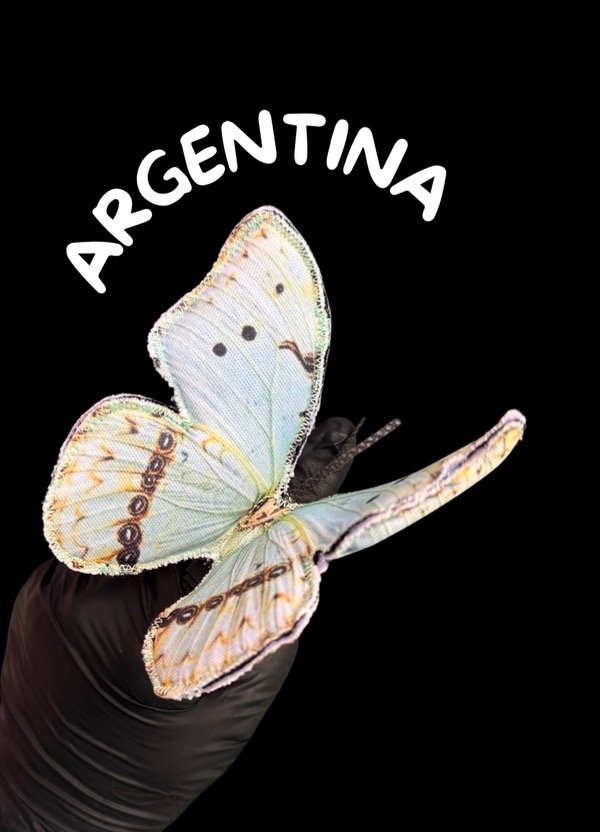 Producto - TITERE MARIPOSA ARGENTINA