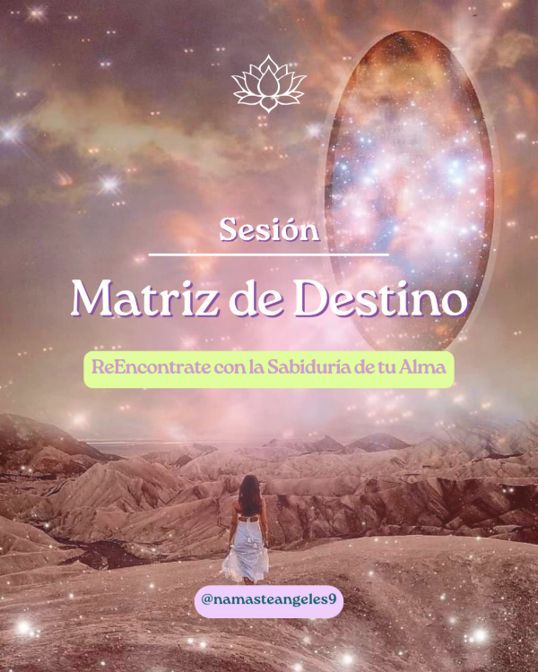 Producto - Sesión Matriz del Destino