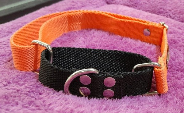 Producto - COLLAR MARTINGALE c/ CORREA
