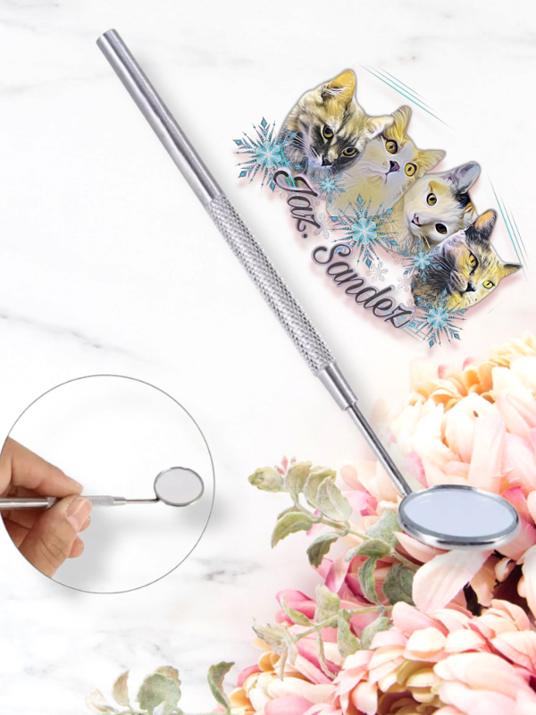 Producto - ESPEJITO METAL