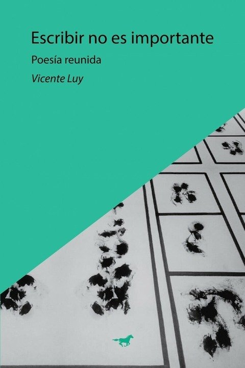 Producto - Escribir no es importante - Vicente Luy