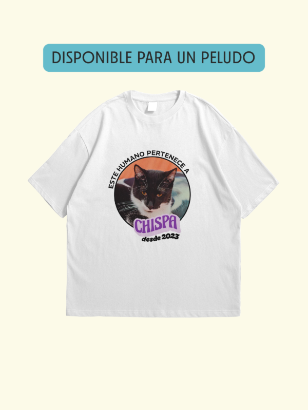 Producto - Modo posesión