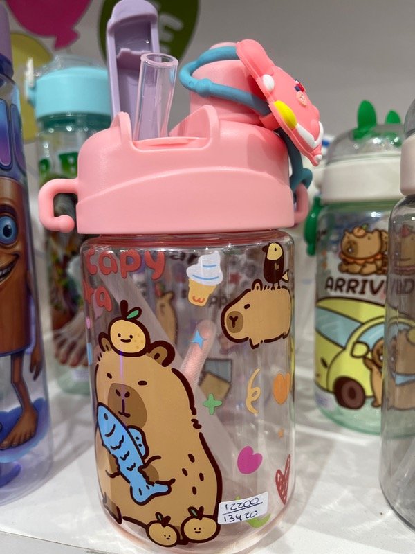 Producto - Botella Capybara doble pico 500ml