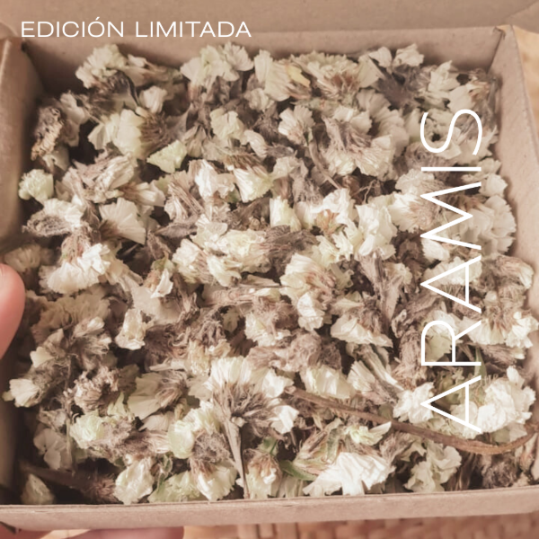 Producto - BOX Statice Natural sin tallos