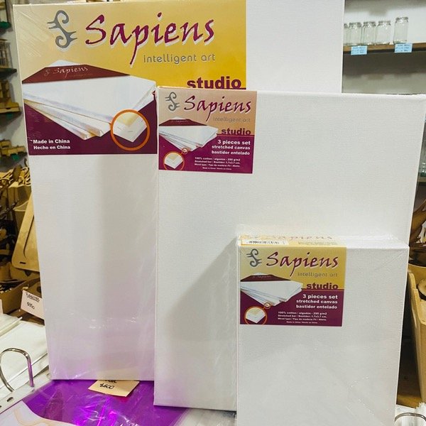 Producto - Bastidor Entelado Sapiens Studio