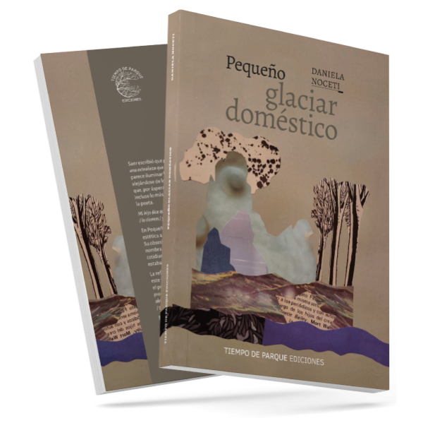 Producto - PREVENTA - Pequeño glaciar dómestico - Daniela Noceti - 2