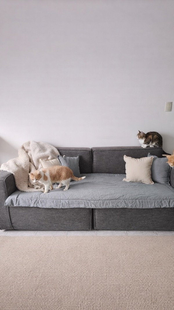 Producto - Pillow de Tusor Premium - Medida 150x80cm