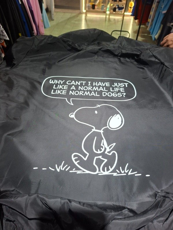 Producto - Campera Snoopy - 0