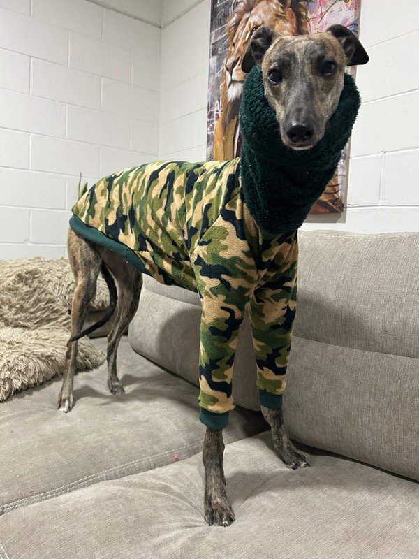Producto - POLERON CAMUFLADO