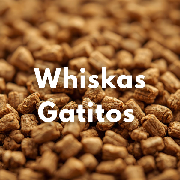 Producto - Whiskas Gatitos (Granel)