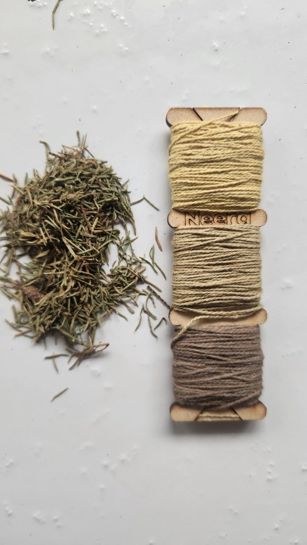 Producto - Huesito x3 - Algodón + Romerillo
